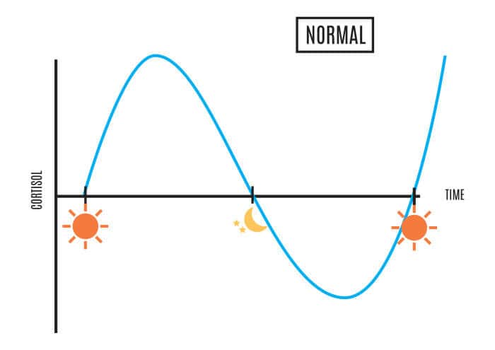 Normal Cortisol Function